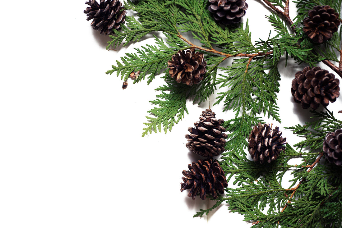 Home Through the Seasons: A Yearly Shift in Style