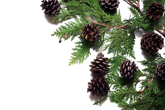 Home Through the Seasons: A Yearly Shift in Style